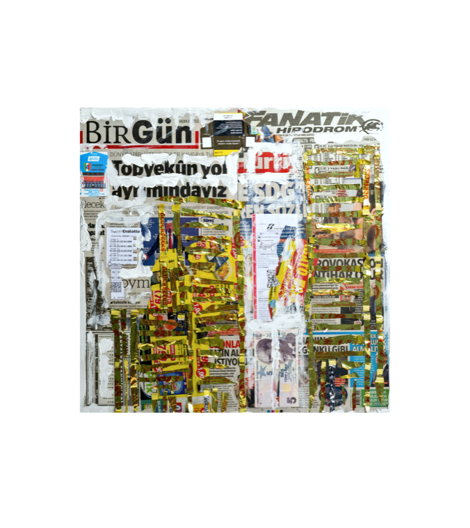 Birgun